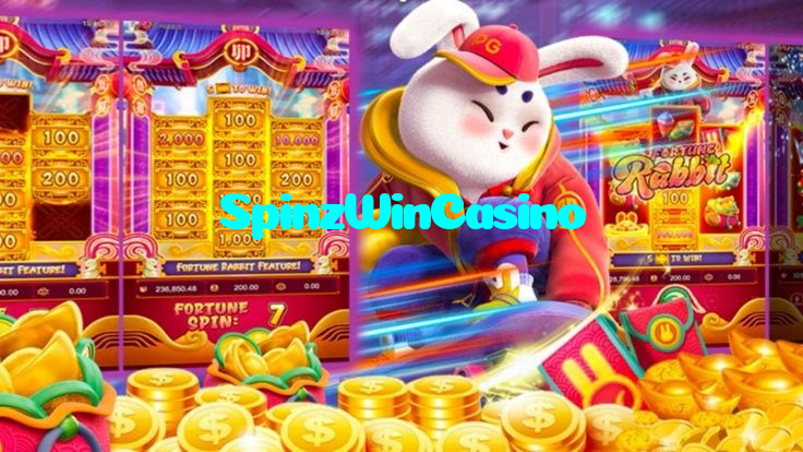 available types of SpinzWinCasino bet including pre-match live express and system bets